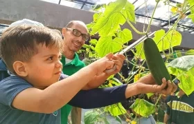 Un niño recogiendo cosecha en un huerto casero.