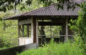 Imagen de referencia. 