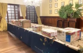 Las piezas llegaron debidamente protegidas.