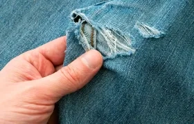 Imagen de referencia.