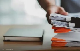 Imagen de referencia.