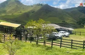 La finca entregada por la Fiscalía.