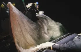 Restos del globo chino.