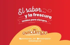 Imagen de referencia