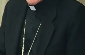 Imagen de referencia.