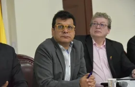 Danilo Rueda, Alto Comisionado de Paz.