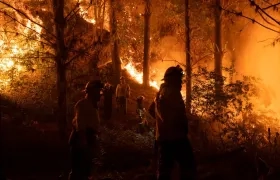 Imagen de referencia.