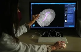 El estudio detectó cambios en nueve partes del cerebro relacionados con una mayor presión arterial y una peor función cognitiva. 