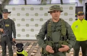 Cocaína incautada en cargamento de banano en Urabá.