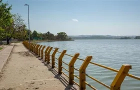 Jornada de limpieza y siembra de 200 árboles frutales en el corregimiento La Peña
