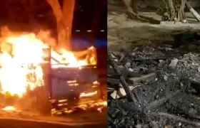 incendio en refugio de gatos en Santa Marta