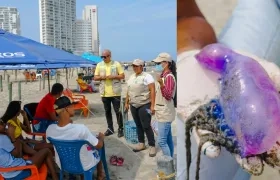 El EPA en Cartagena adelantó pedagogía sobre la 'fragata portuguesa' en las playas.