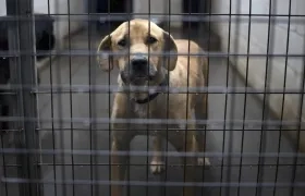 Imagen de referencia.