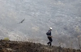 En lo que va del año, en Colombia se han registrado 1.987 incendios forestales.