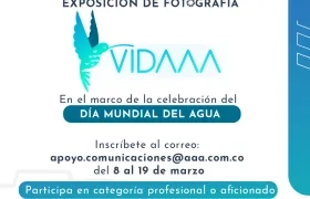 Afiche promocional del concurso. 