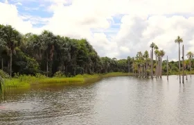 El objetivo es recuperar los terrenos indebidamente ocupados.