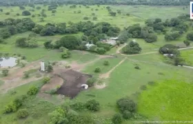 Finca Las Américas en Chimichagua, Cesar.