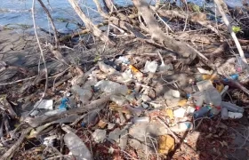 Basuras acumuladas en manglares de Puerto Caimán, Atlántico.