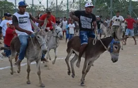 Festival del burro en San Antero Córdoba.