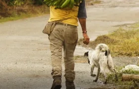 Imagen de referencia.