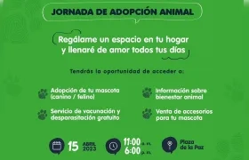 Flyer de jornada de adopción animal.