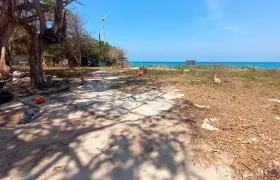 El terreno recuperado.