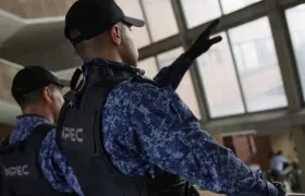 Imagen de referencia.