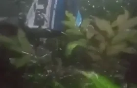 Restos de la avioneta Cessna que estaba desaparecida.