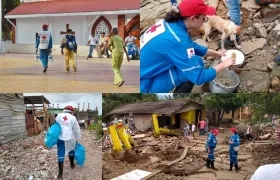 Imágenes de sus labores.