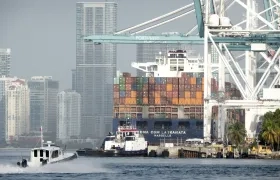 Imagen de referencia.