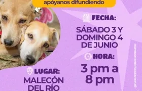 La jornada de adopción se llevará a cabo el 3 y 4 de junio.