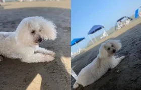 'Matías' se encuentra desaparecido.