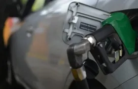 Imagen de referencia.