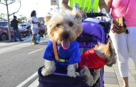 El evento será de 2:00 hasta las 6:00 p.m.