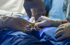 Imagen de referencia.