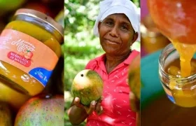 Edición 26 del Festival del Mango