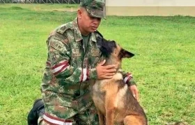 Imagen de referencia.