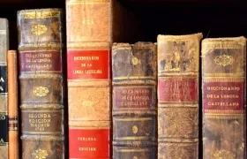 Antes de que termine este año, la RAE hará anuncios sobre lo avanzado en este tema.