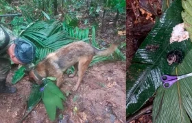 Crecen las esperanzas de hallar a los niños tras el hallazgo de nuevas pistas.