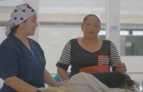 Los casos recibidos corresponden a 147 caninos y 59 felinos.