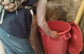 Actividades de revisión de tanques con agua para prevenir casos de dengue. 