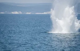 Minas en el Mar Negro.