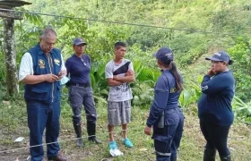 La garrucha cayó por sobrepeso.
