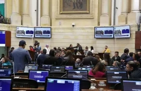 Plenaria del Senado de la República.