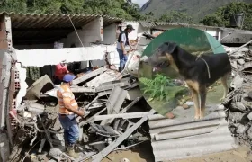 La mascota 'Trostki' salvó a una familia.