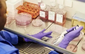 El medicamento fue desarrollado por la farmacéutica japonesa Eisai