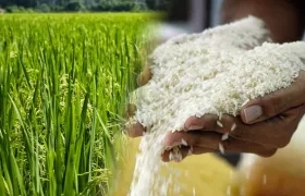 Imagen de referencia.