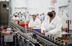 Imagen de referencia.