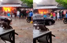 Incendio en la 'Torre del pescado'