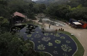 Jardín Botánico de Cali